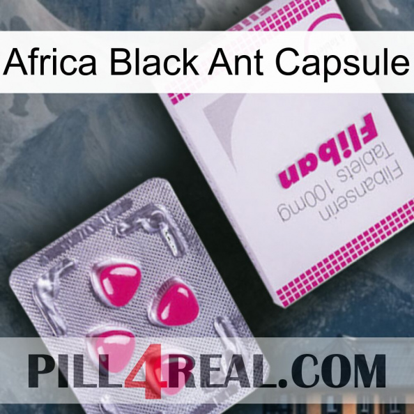 Africa Black Ant Capsule 32.jpg